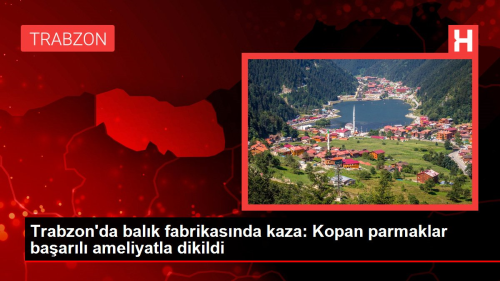 Trabzon'da balk fabrikasnda kaza: Kopan parmaklar baarl ameliyatla dikildi